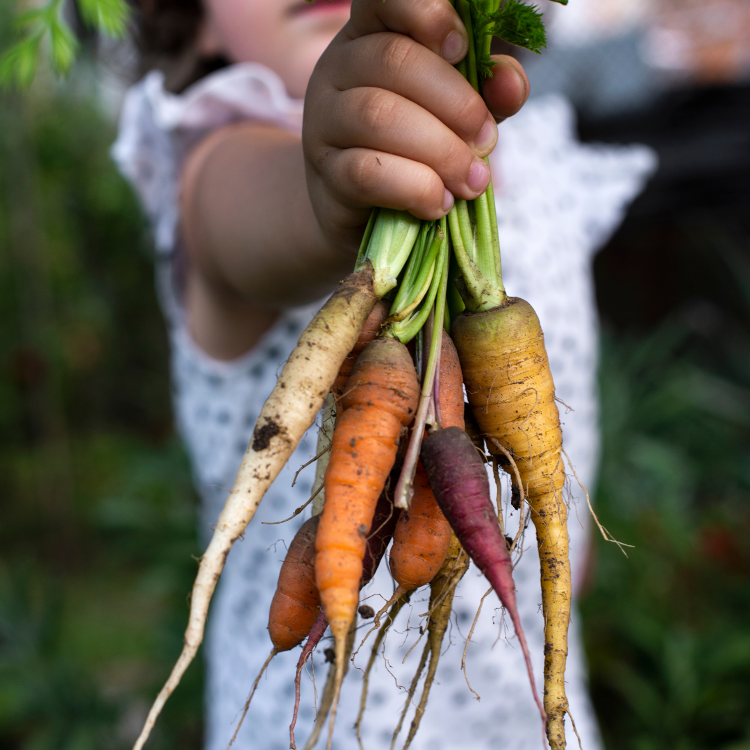 Child and carrots