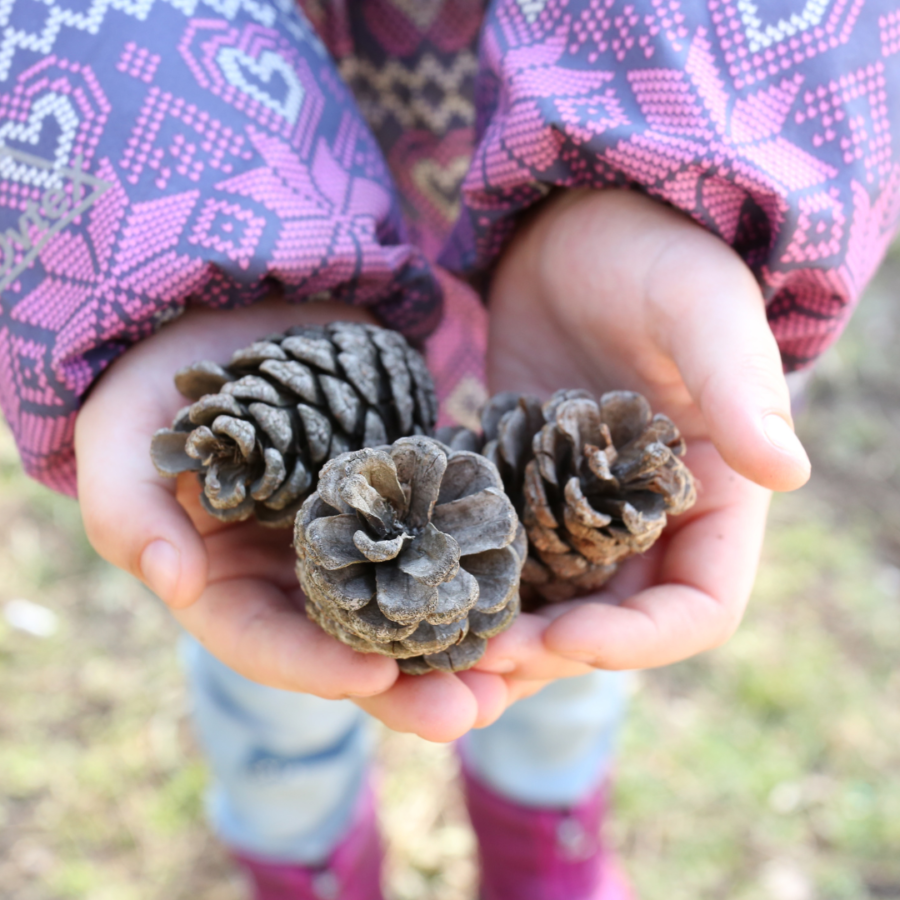 Child with pine cones